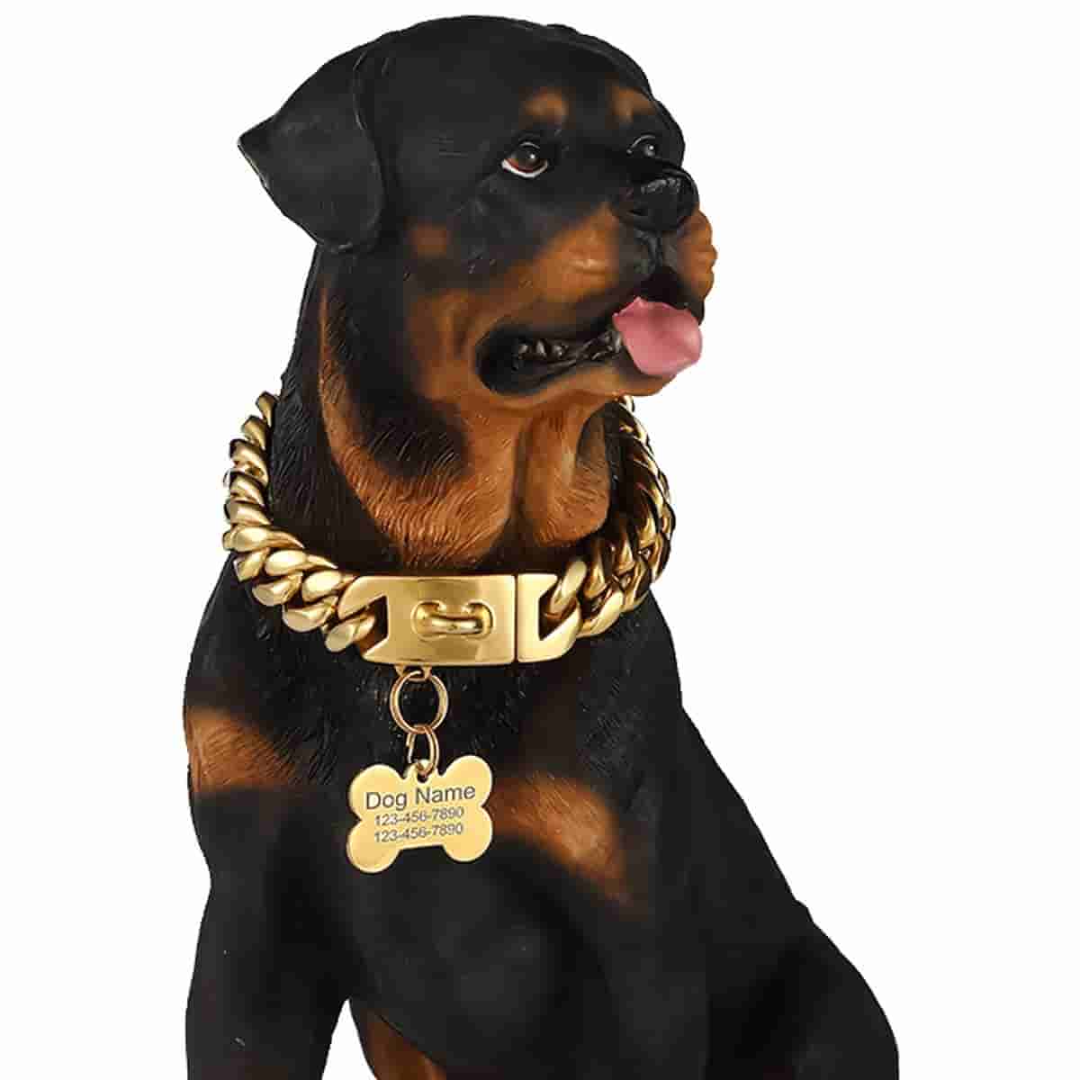 19mm Metal Collar Cuban Chain Dog Collar