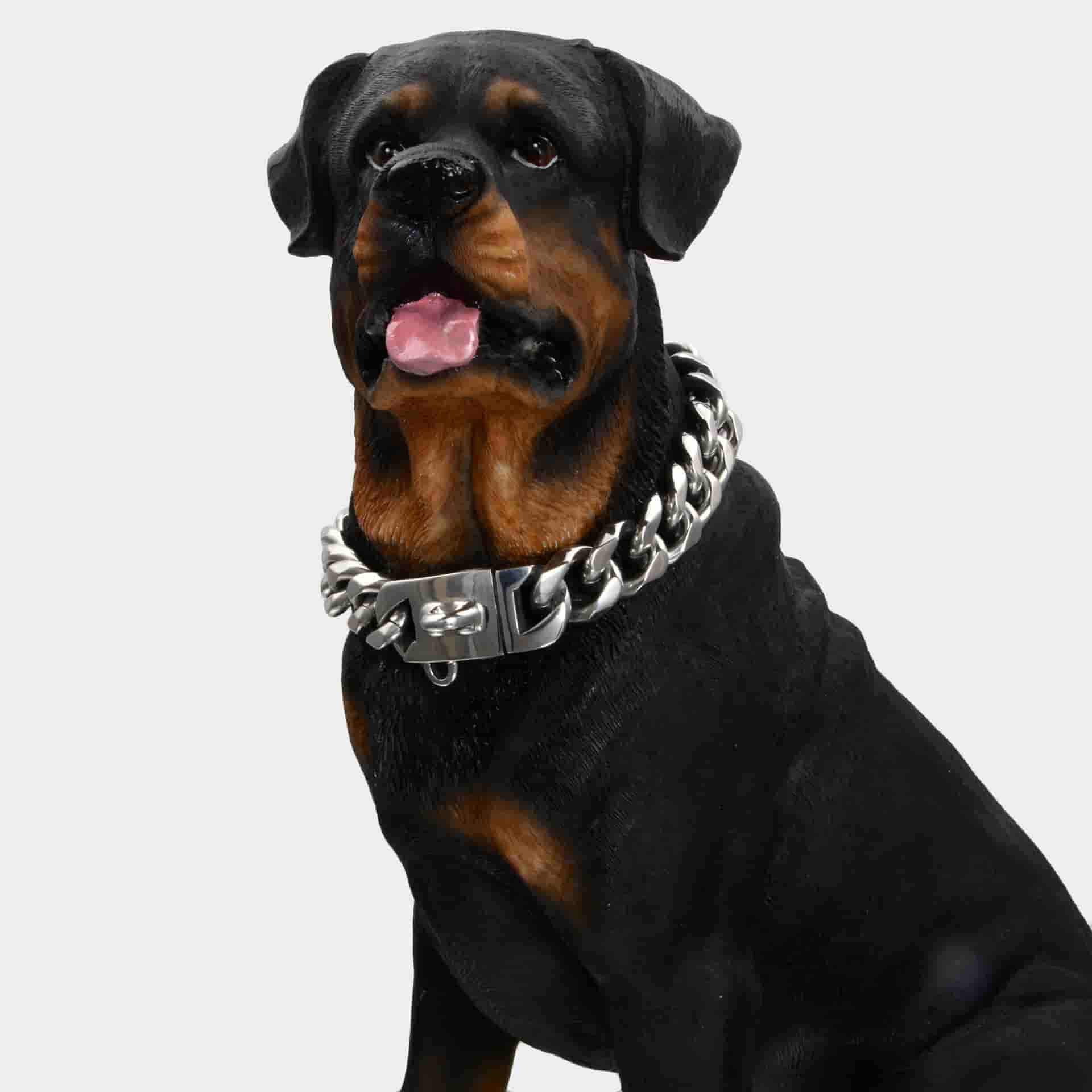 19mm Metal Collar Cuban Chain Dog Collar