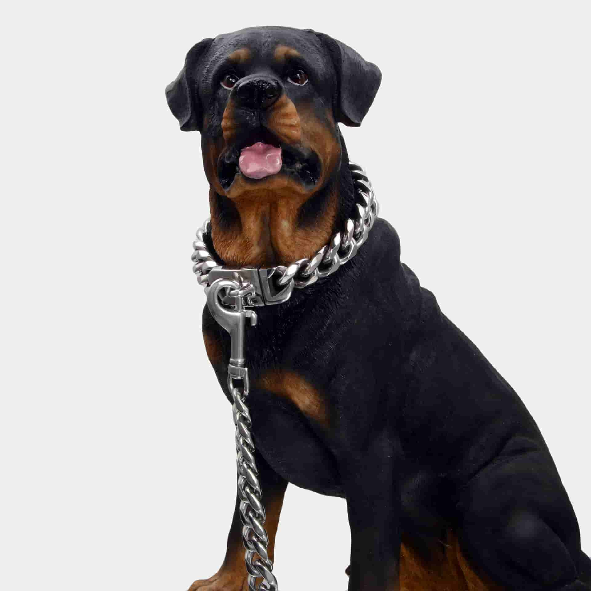 19mm Metal Collar Cuban Chain Dog Collar